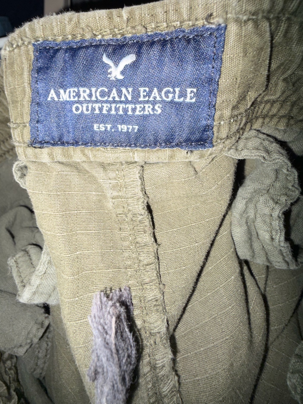 American Eagle Outfitters Men’s green Khaki pants
